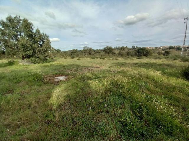Terreno venda em Castelo Branco, Idanha-a-nova