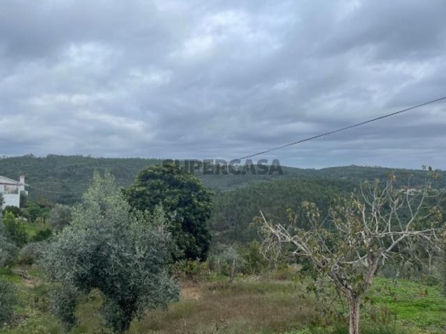 Terreno venda em Abrantes, Santarém