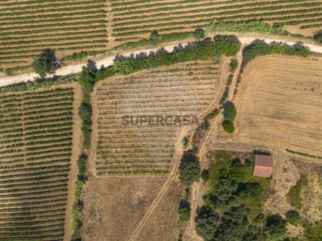 Terreno venda em Alenquer, Paiol Terreno venda em Alenquer, Paiol