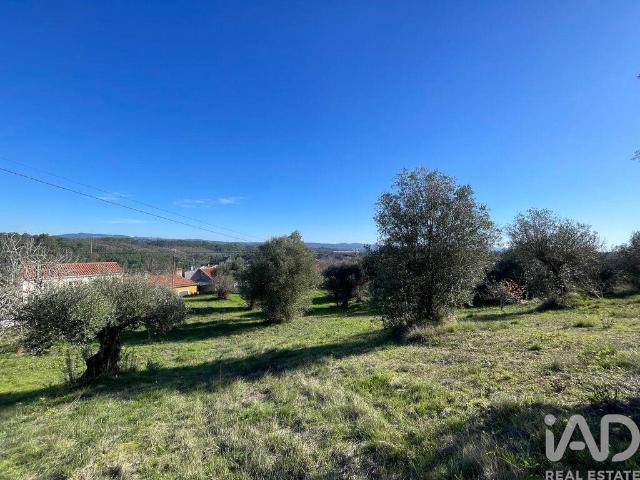 Terreno venda em Casal da Estrada, Tomar