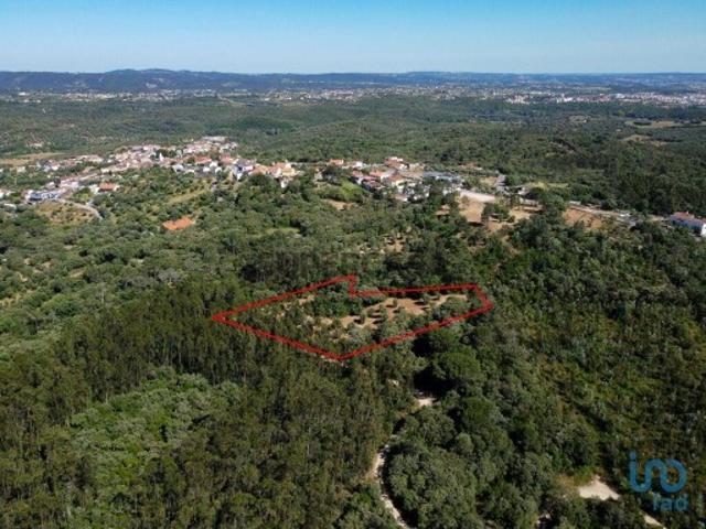 Terreno venda em Tomar, Prado Terreno venda em Tomar, Prado