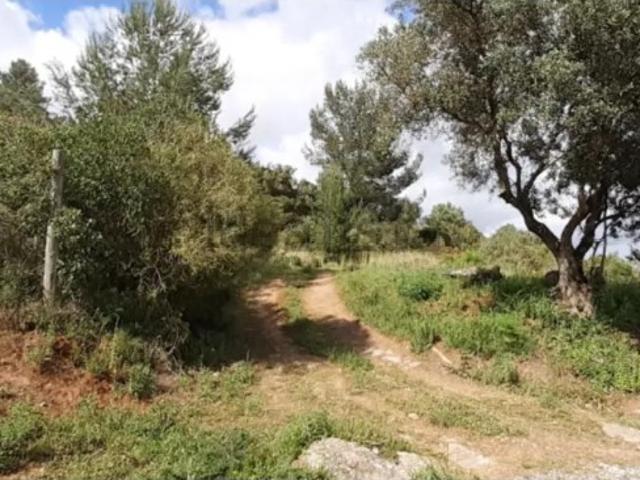 Terreno venda em Alenquer (Santo Estêvão e Triana), Alenquer
