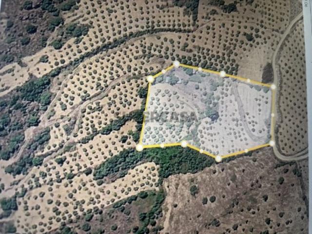 Terreno venda em Alfândega Da Fé, Bragança
