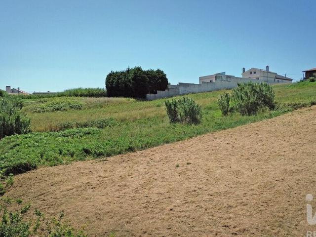 Terreno venda em Cadarroeira, Alcobaça