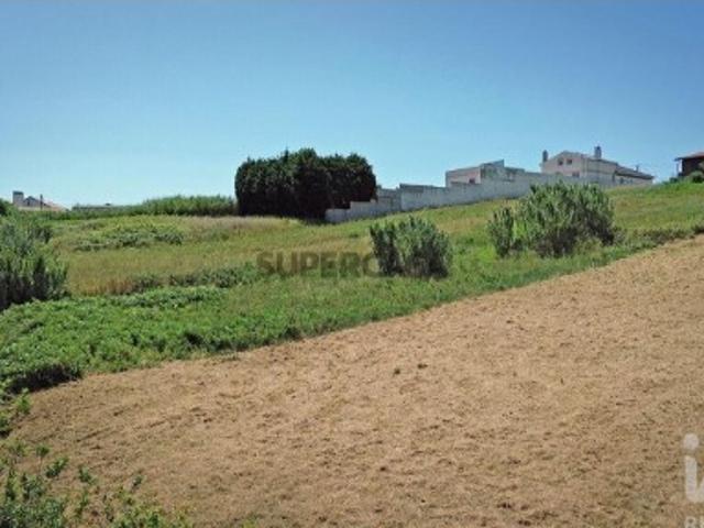 Terreno venda em Cadarroeira, Alcobaça