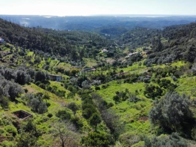 Terreno venda em Alferce, Monchique