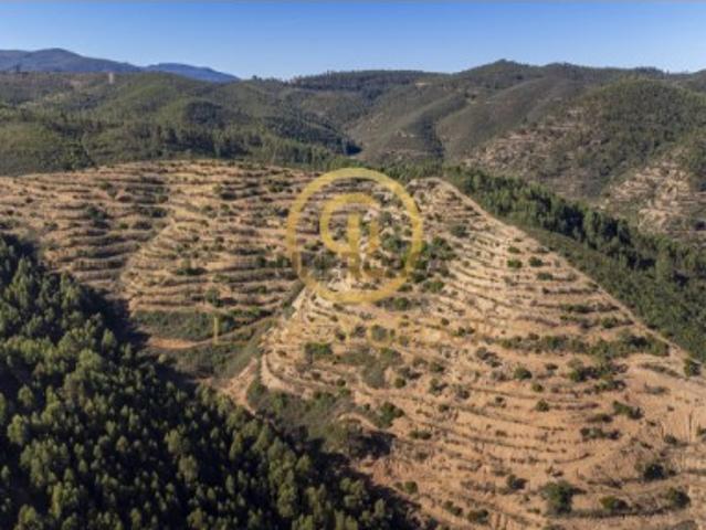 Terreno venda em Monchique, Faro