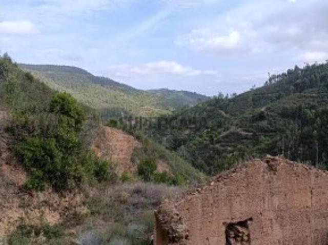 Terreno venda em Monchique, Faro