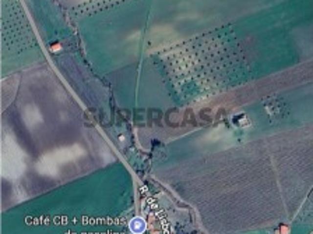 Terreno venda em Ferreira Do Alentejo