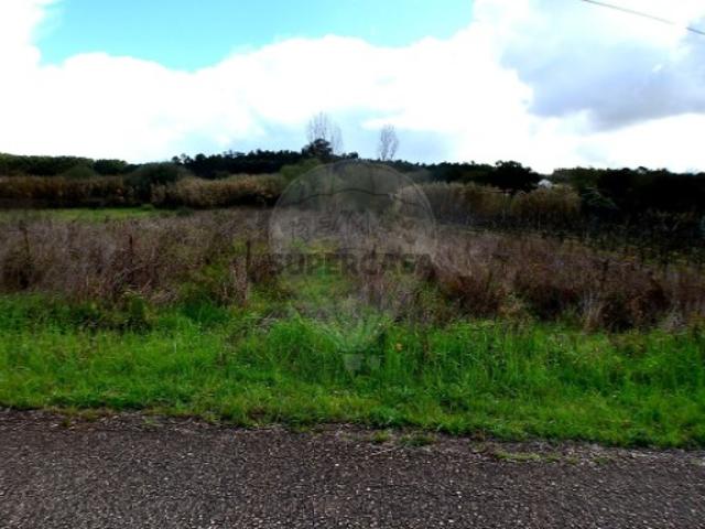 Terreno venda em Cadaval, Alguber