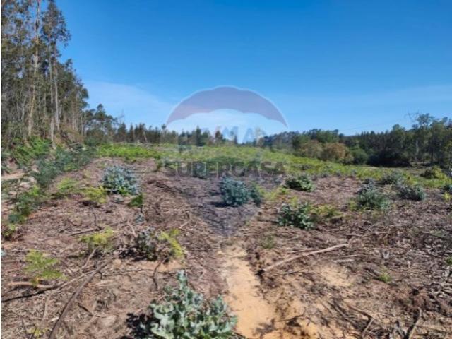 Terreno venda em Alhadas, Figueira da Foz