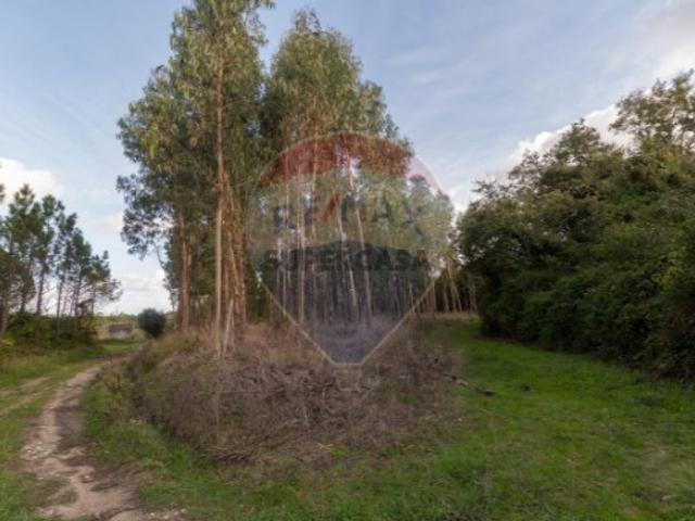 Terreno venda em Alhadas, Figueira da Foz