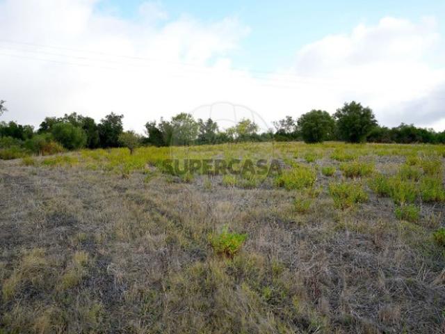 Terreno venda em Subserra, Calhandriz