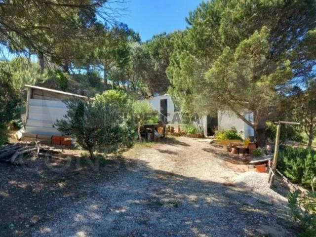 Terreno venda em Calhandriz, Lisboa