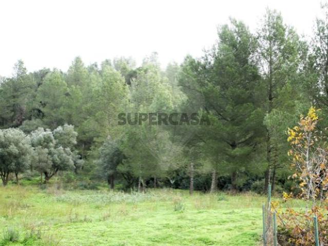 Terreno venda em Calhandriz, Lisboa