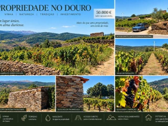 Terreno venda em Alijó, Vila Real