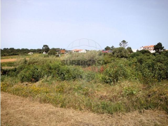 Terreno venda em Aljezur, Faro