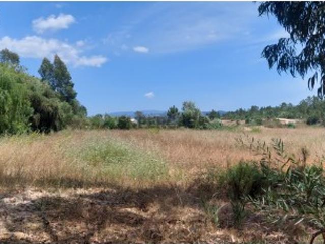 Terreno venda em Aljezur, Faro
