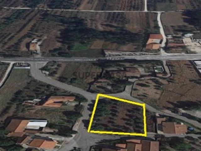 Terreno venda em Ataíja de Baixo, Alcobaça