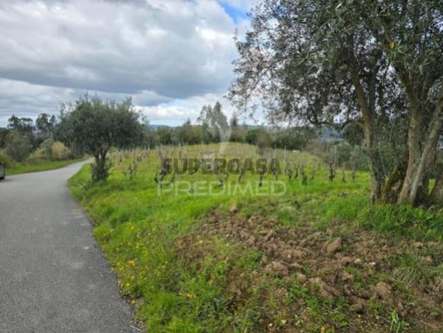 Terreno venda em Coimbrã, Almalaguês