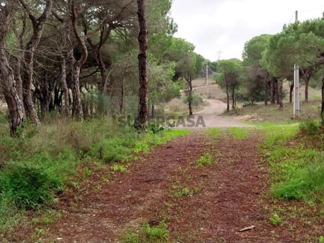 Terreno venda em Figueiral, Loulé