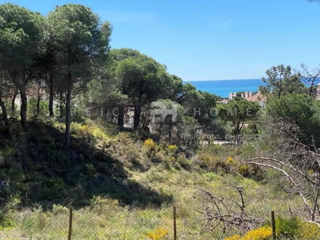 Terreno venda em Loulé, Vale de Lobo Terreno venda em Loulé, Vale de Lobo