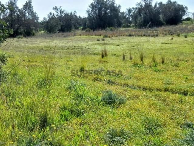 Terreno venda em Loulé, Faro