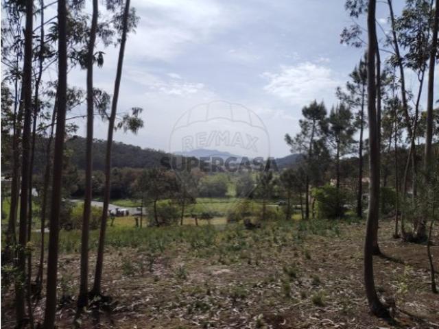 Terreno venda em Sintra, Lisboa