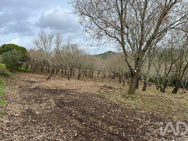 Terreno venda em Igreja Nova e Cheleiros, Mafra