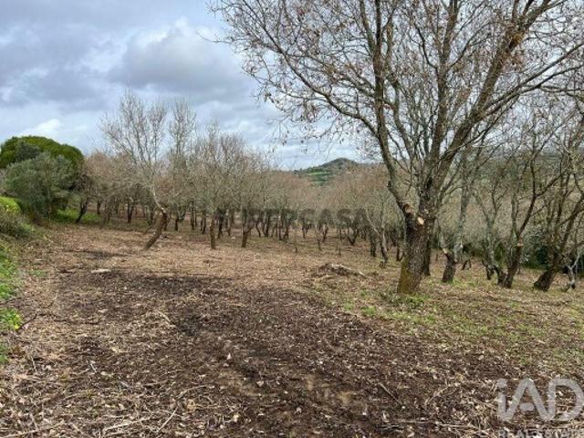 Terreno venda em Sintra, Lisboa
