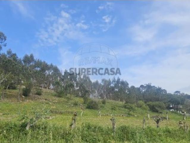 Terreno venda em Sintra, Lisboa