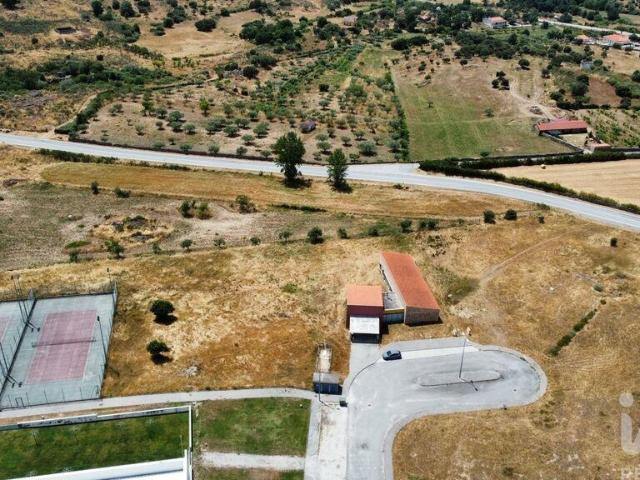 Terreno venda em Guarda, Almeida