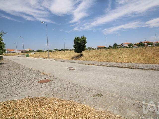 Terreno venda em Guarda, Almeida