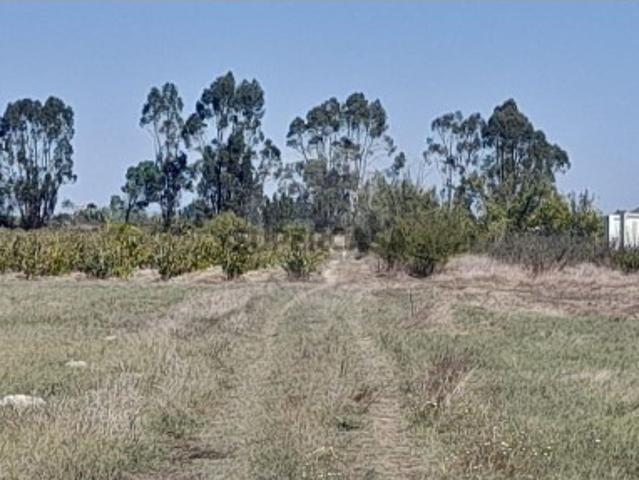 Terreno venda em Almeirim, Santarém