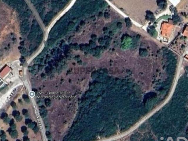 Terreno venda em Santarém