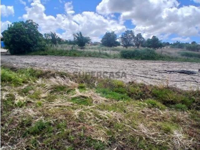 Terreno venda em Vila Nova do Coito, Santarém