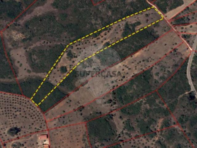 Terreno venda em Vila Nova do Coito, Santarém