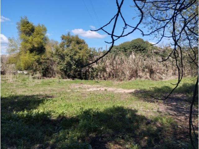 Terreno venda em Santarém