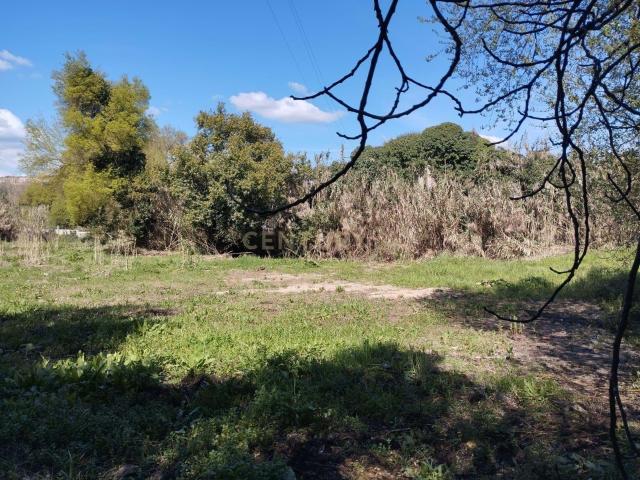 Terreno venda em Santarém
