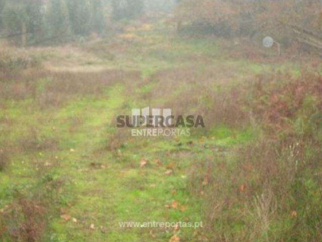 Terreno venda em Várzea do Douro, Várzea