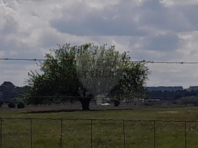 Terreno venda em Frade de Baixo, Alpiarça