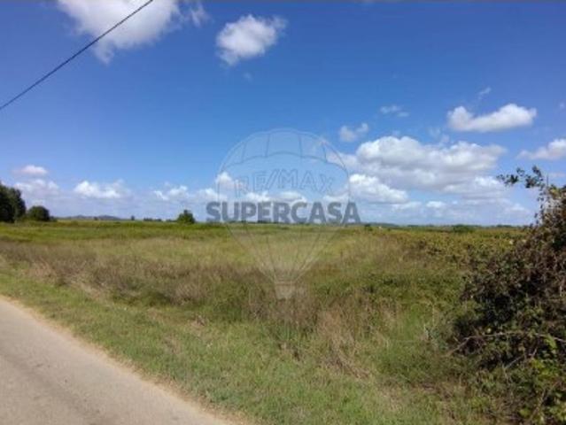Terreno venda em Alpiarça, Santarém