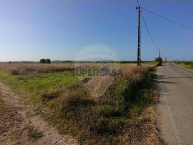 Terreno venda em Alpiarça, Santarém