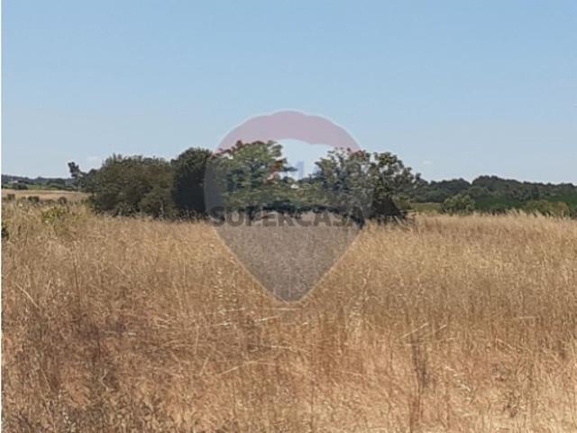 Terreno venda em Alpiarça, Santarém