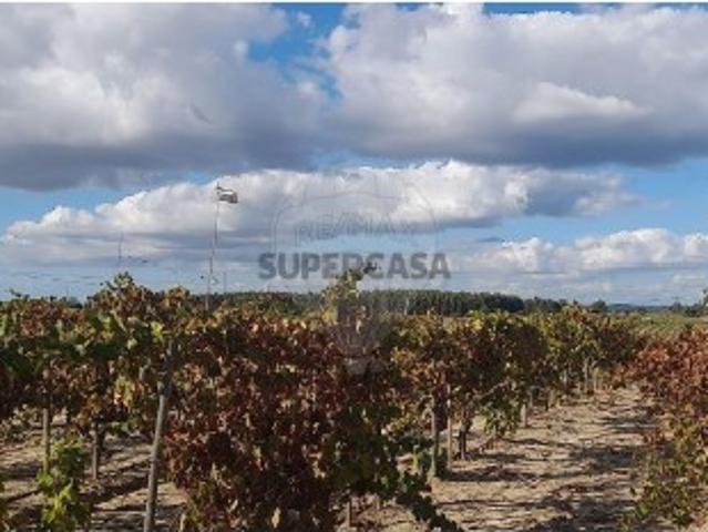 Terreno venda em Alpiarça, Santarém
