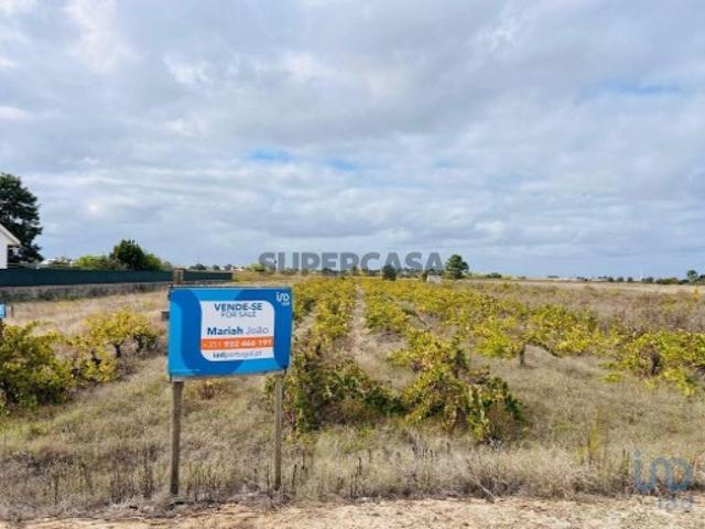 Terreno venda em Alpiarça, Santarém