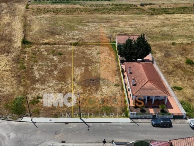 Terreno venda em Alpiarça, Santarém