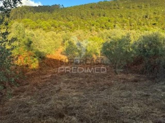 Terreno venda em Porto De Mós, Leiria