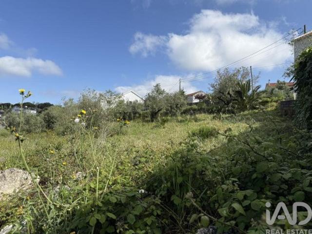 Terreno venda em Porto De Mós, Leiria