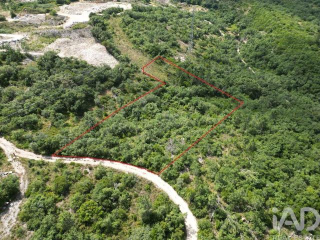 Terreno venda em Porto De Mós, Leiria